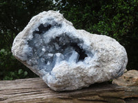 Natural Celestite Geode Specimen x 1 From Sakoany, Madagascar