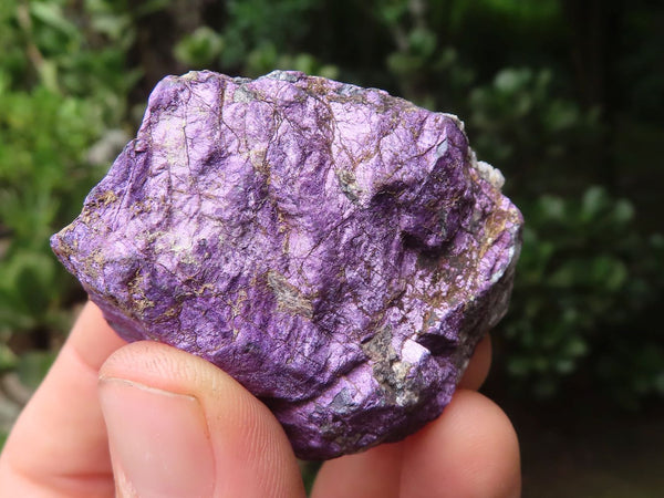 Natural Metallic Purpurite Cobbed Specimens x 16 From Erongo, Namibia