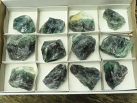 Natural Watermelon Fluorite Cobbed Specimens x 12 From Uis, Namibia