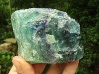 Natural Watermelon Fluorite Cobbed Specimens x 12 From Uis, Namibia