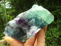 Natural Watermelon Fluorite Cobbed Specimens x 12 From Uis, Namibia