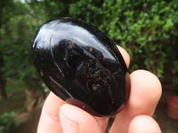 Polished Black Tourmaline Palm Stones x 17 From Madagascar