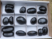 Polished Black Tourmaline Palm Stones x 17 From Madagascar