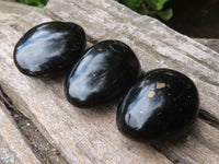 Polished Black Tourmaline Palm Stones x 17 From Madagascar