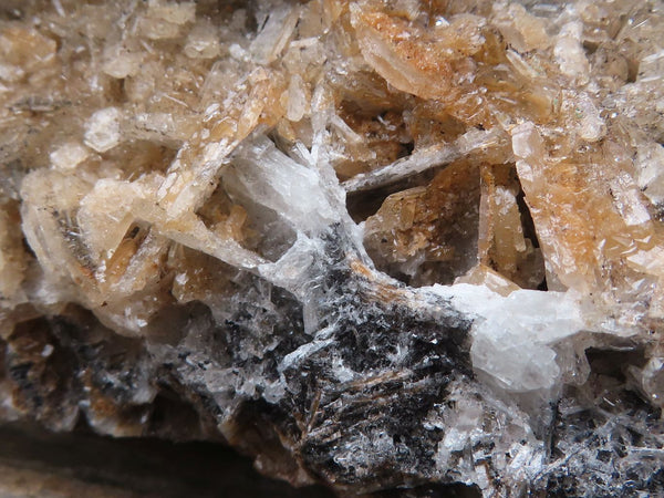 Natural Bladed Barite Specimen x 1 From Congo