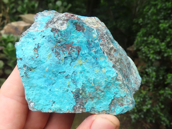 Natural Shattuckite with Chrysocolla & Malachite x 9 from Kaokoveld, Namibia