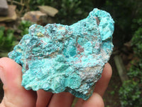 Natural Shattuckite with Chrysocolla & Malachite x 9 from Kaokoveld, Namibia