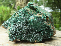 Natural Botryoidal Malachite Specimens x 12 From Congo