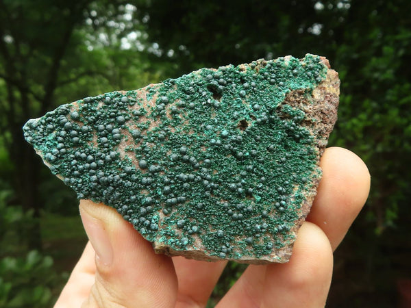 Natural Botryoidal Malachite Specimens x 12 From Congo