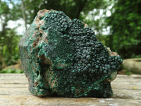 Natural Botryoidal Malachite Specimens x 12 From Congo