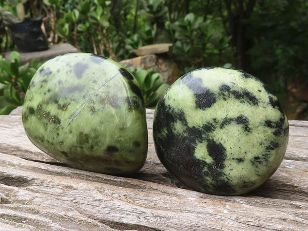 Polished Leopard Stone Free Forms x 6 From Zimbabwe