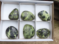 Polished Leopard Stone Free Forms x 6 From Zimbabwe