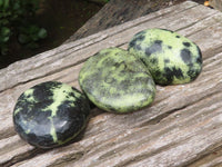 Polished Leopard Stone Free Forms x 6 From Zimbabwe