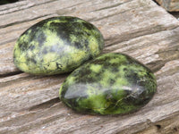 Polished Leopard Stone Free Forms x 6 From Zimbabwe