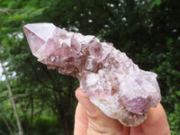 Natural Amethyst Spirit Quartz Clusters x 7 From Boekenhouthoek, South Africa