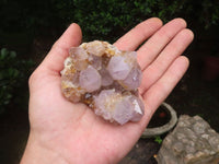 Natural Amethyst Spirit Quartz Clusters x 7 From Boekenhouthoek, South Africa