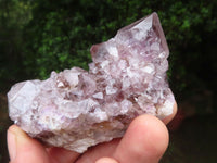 Natural Amethyst Spirit Quartz Clusters x 7 From Boekenhouthoek, South Africa