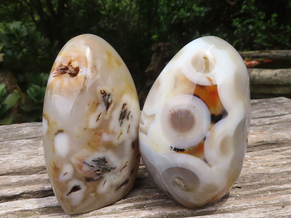 Polished Dendritic Agate Standing Free Forms x 5 From Madagascar