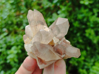 Natural Red Hematoid Quartz Clusters x 6 From Karoi, Zimbabwe