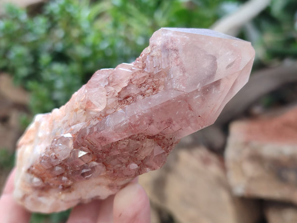 Natural Red Hematoid Quartz Clusters x 6 From Karoi, Zimbabwe