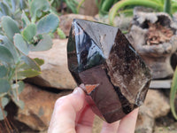 Polished Smokey Quartz Crystals x 2 From Madagascar