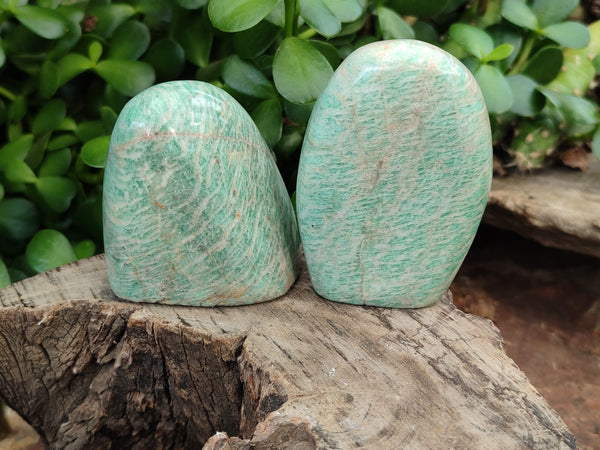 Polished Amazonite Standing Free Forms x 12 From Madagascar