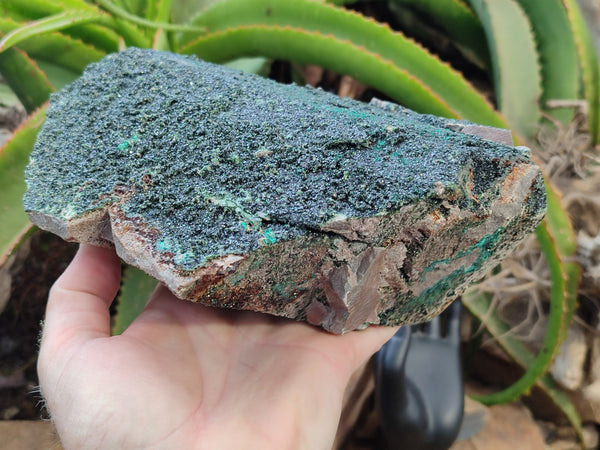 Natural Libethenite Crystals On Dolomite Matrix Specimen x 1 From Shituru, Congo