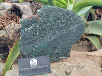 Natural Libethenite Crystals On Dolomite Matrix Specimen x 1 From Shituru, Congo