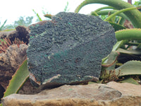 Natural Libethenite Crystals On Dolomite Matrix Specimen x 1 From Shituru, Congo