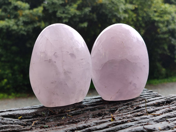 Polished Rose Quartz Standing Free Forms x 2 From Madagascar