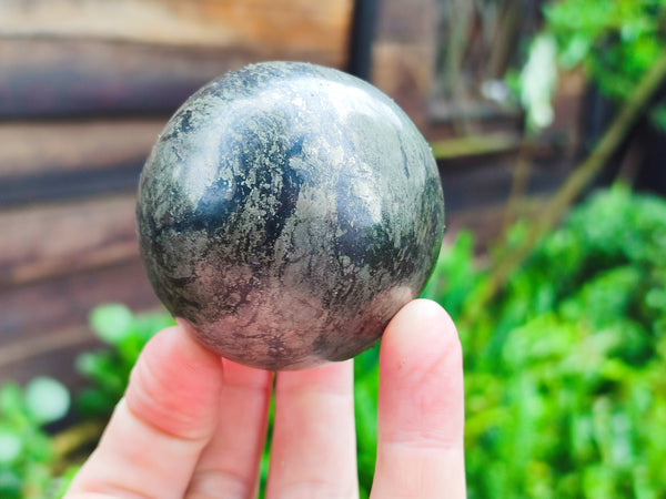 Polished Pharaoh Stone Spheres x 3 From Zimbabwe