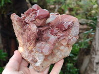 Natural Red Hematoid Quartz Clusters x 2 From Karoi, Zimbabwe