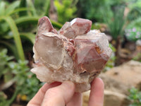 Natural Red Hematoid Quartz Clusters x 6 From Karoi, Zimbabwe