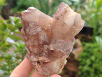 Natural Red Hematoid Quartz Clusters x 6 From Karoi, Zimbabwe