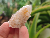 Natural Spirit Quartz Crystals x 63 From Boekenhouthoek, South Africa