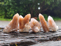 Natural Spirit Quartz Crystals x 63 From Boekenhouthoek, South Africa