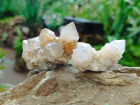 Natural Spirit Quartz Crystals x 63 From Boekenhouthoek, South Africa