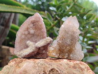 Natural Spirit Quartz Crystals x 63 From Boekenhouthoek, South Africa