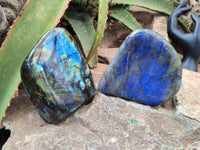 Polished Labradorite Standing Free Forms x 2 From Tulear, Madagascar