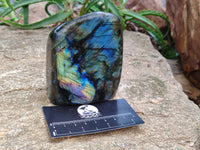 Polished Labradorite Standing Free Forms x 2 From Tulear, Madagascar