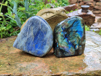 Polished Labradorite Standing Free Forms x 2 From Tulear, Madagascar