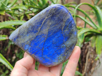 Polished Labradorite Standing Free Forms x 2 From Tulear, Madagascar