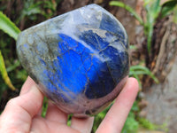 Polished Labradorite Standing Free Forms x 2 From Tulear, Madagascar