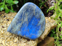 Polished Labradorite Standing Free Forms x 2 From Tulear, Madagascar