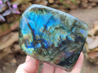 Polished Labradorite Standing Free Forms x 2 From Tulear, Madagascar