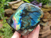 Polished Labradorite Standing Free Forms x 2 From Tulear, Madagascar