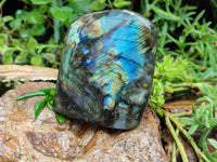 Polished Labradorite Standing Free Forms x 2 From Tulear, Madagascar