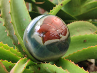 Polished Polychrome Jasper Spheres x 2 From Mahajanga, Madagascar