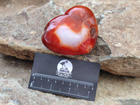 Polished Carnelian Gemstone Hearts x 6 From Madagascar