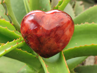 Polished Carnelian Gemstone Hearts x 6 From Madagascar